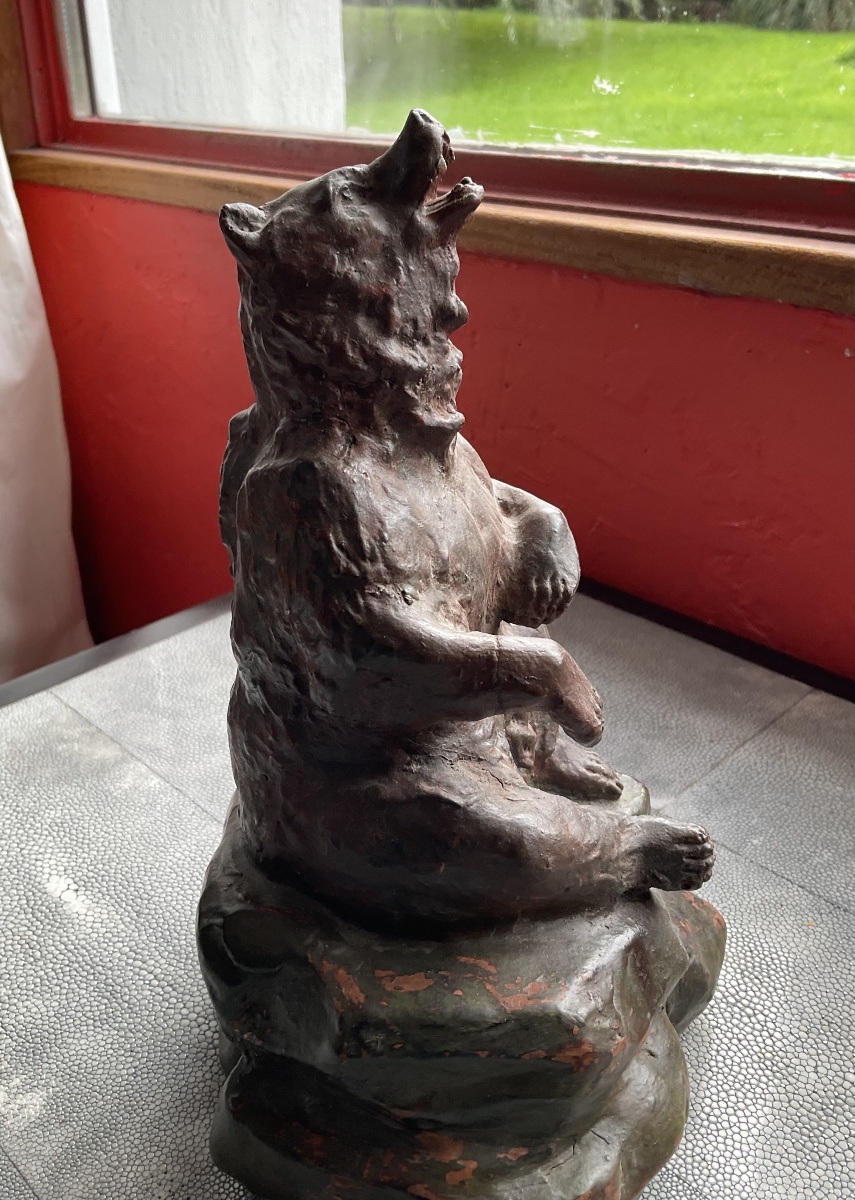 Ours brun gueule ouverte-photo-2