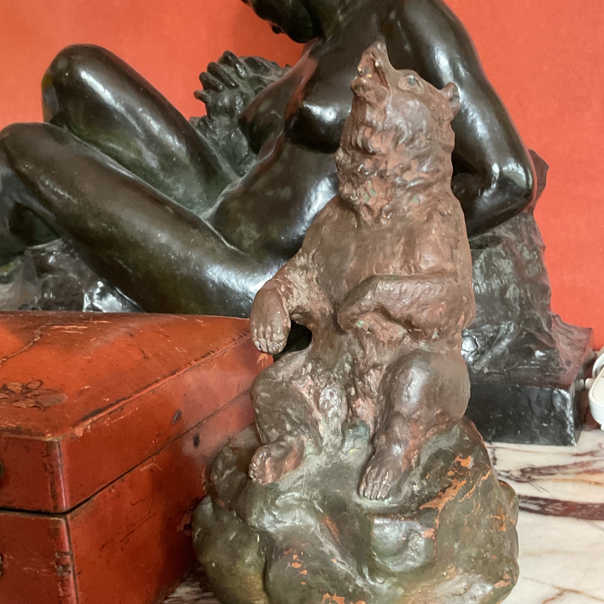 Ours brun gueule ouverte-photo-4
