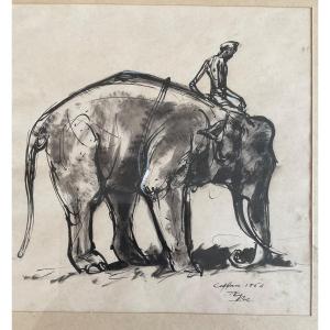 Lavis éléphant Et Cornac Ceylan 1960