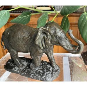 Sculpture Bronze éléphant 