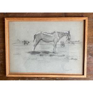 Dessin De Wislin Cheval Et Vaches 1882