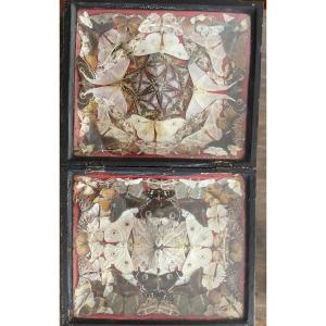 Fun Butterfly Composition Box