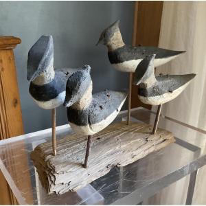 Lot de 4 vanneaux huppés Landes 