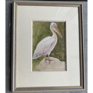 Paire de cadres oiseaux signes 