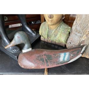 Calling Mediterranean Basin Painted Wood