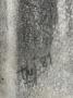 1777305-alb-6a2c201fcd4fb.jpg
