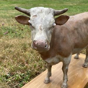 Vache sur planche dans l’etat