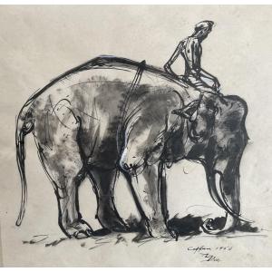 Elephant In India