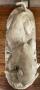 1829735-alb-6abbe8d831a59.jpg