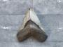 1831614-6ac0afc792afe.jpg