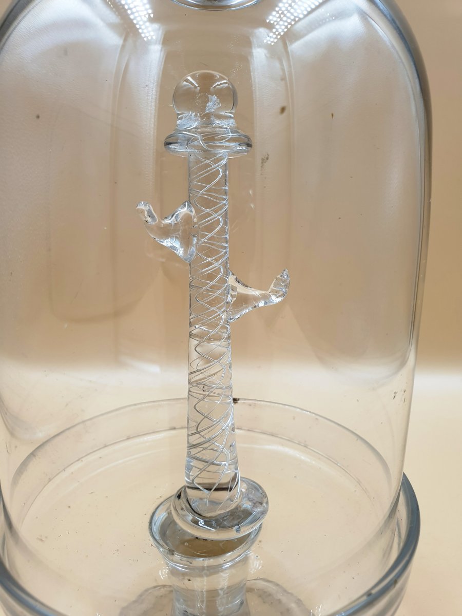 Normand Baguier On Glass Pedestal - Early XIXth-photo-2