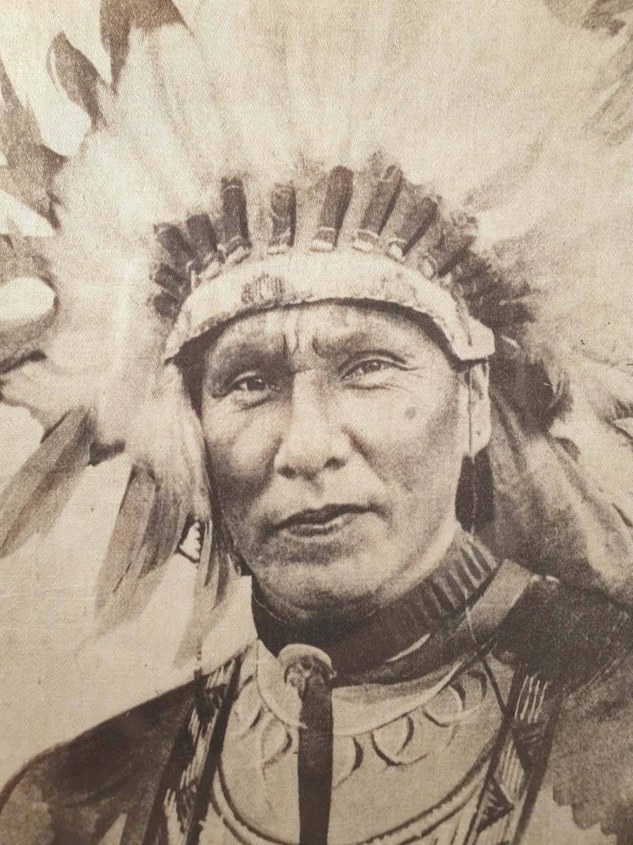 American Indian Chiefs - Art Deco - Photography On Fabric - 1920-1940-photo-1