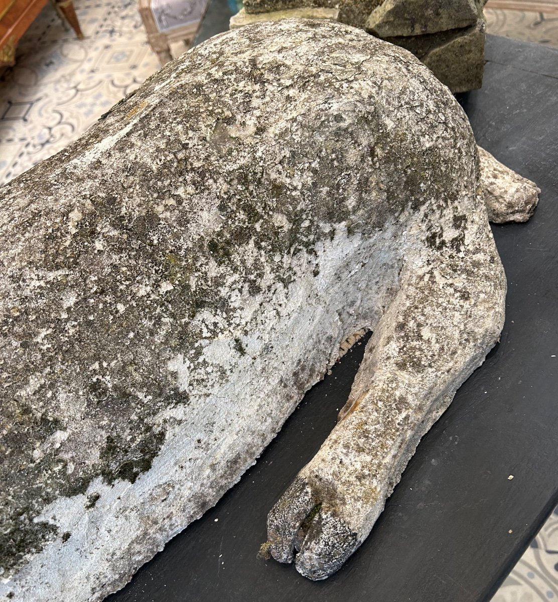 Deer In Reconstituted Stone -photo-6