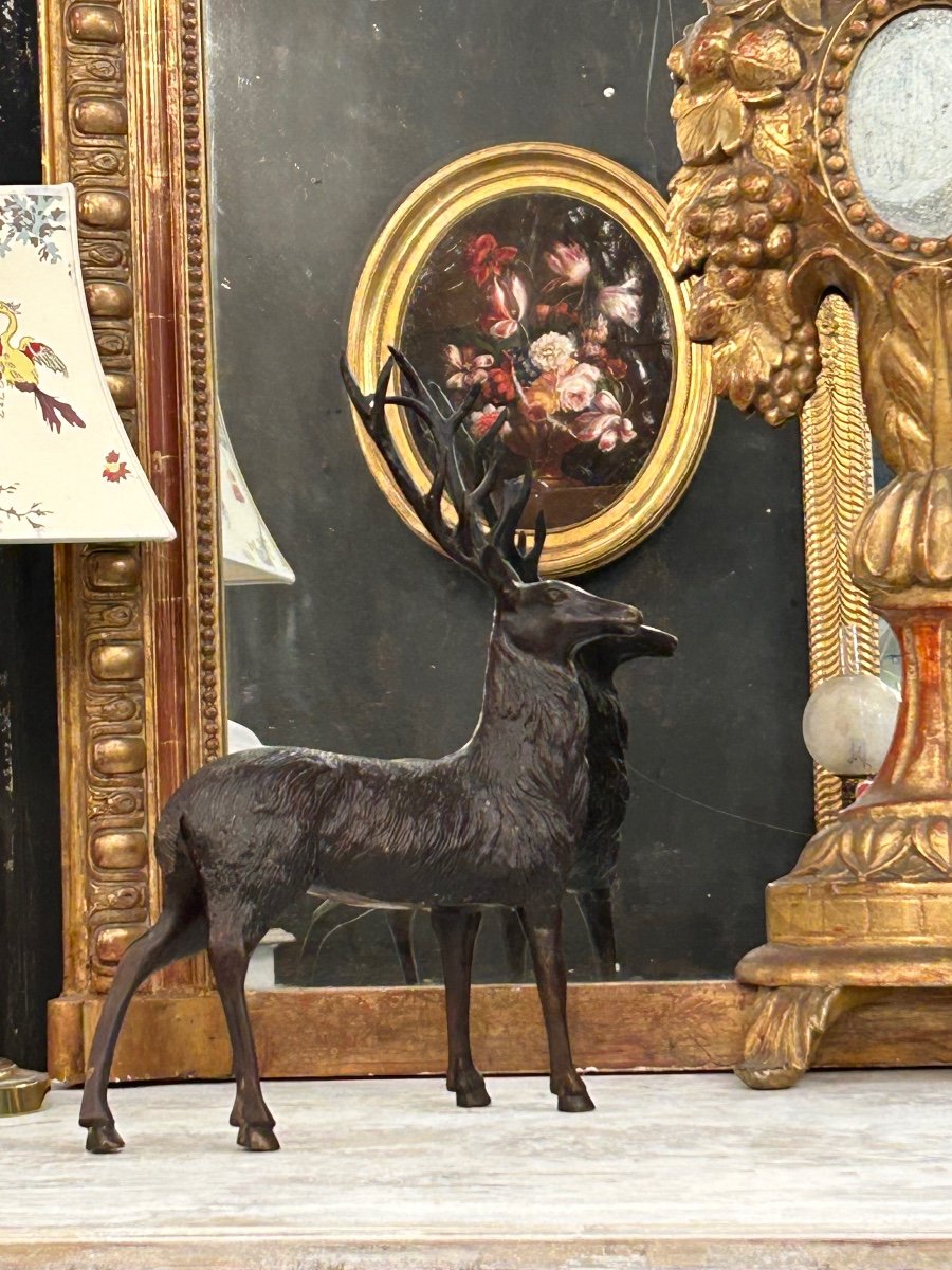 Deer Stopping Bronze Subject-photo-1