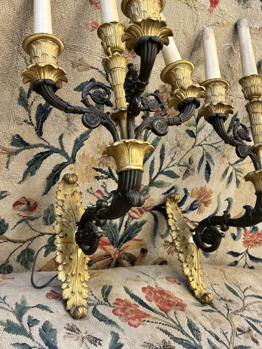 Paire d’appliques époque restauration -photo-3