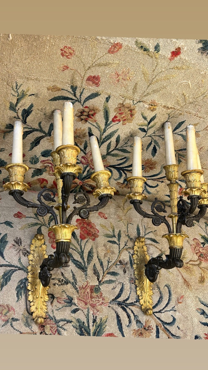 Paire d’appliques époque restauration -photo-5