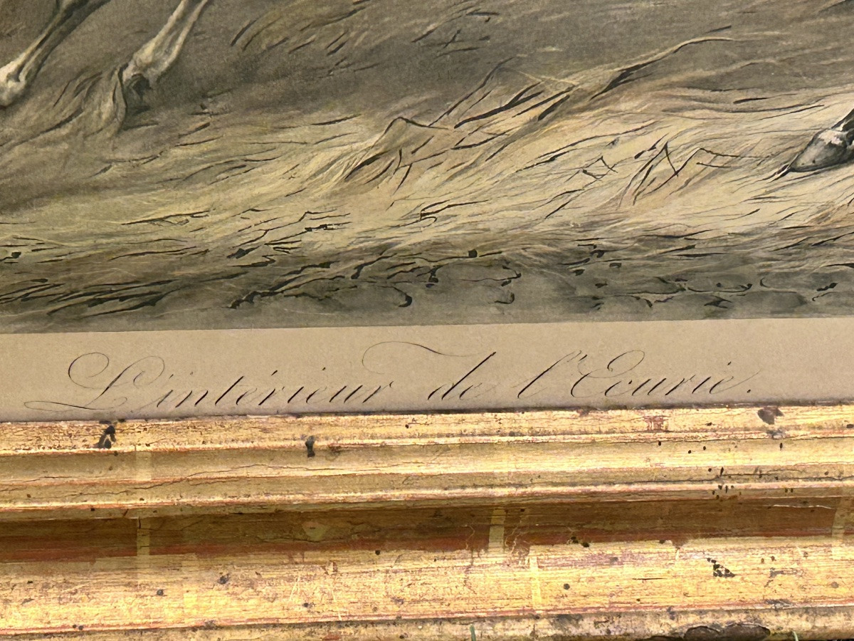 Pair Of Engravings On The Theme Of Horses, Signed Carle Vernet, 19th Century-photo-6