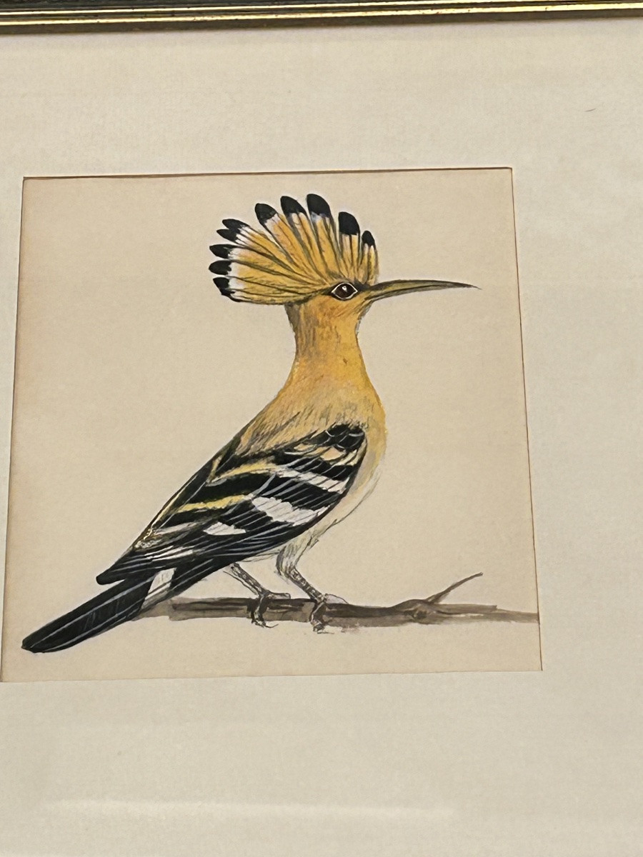 Framed Watercolor And Gouache Series-photo-2