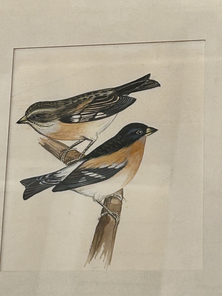 Framed Watercolor And Gouache Series-photo-3