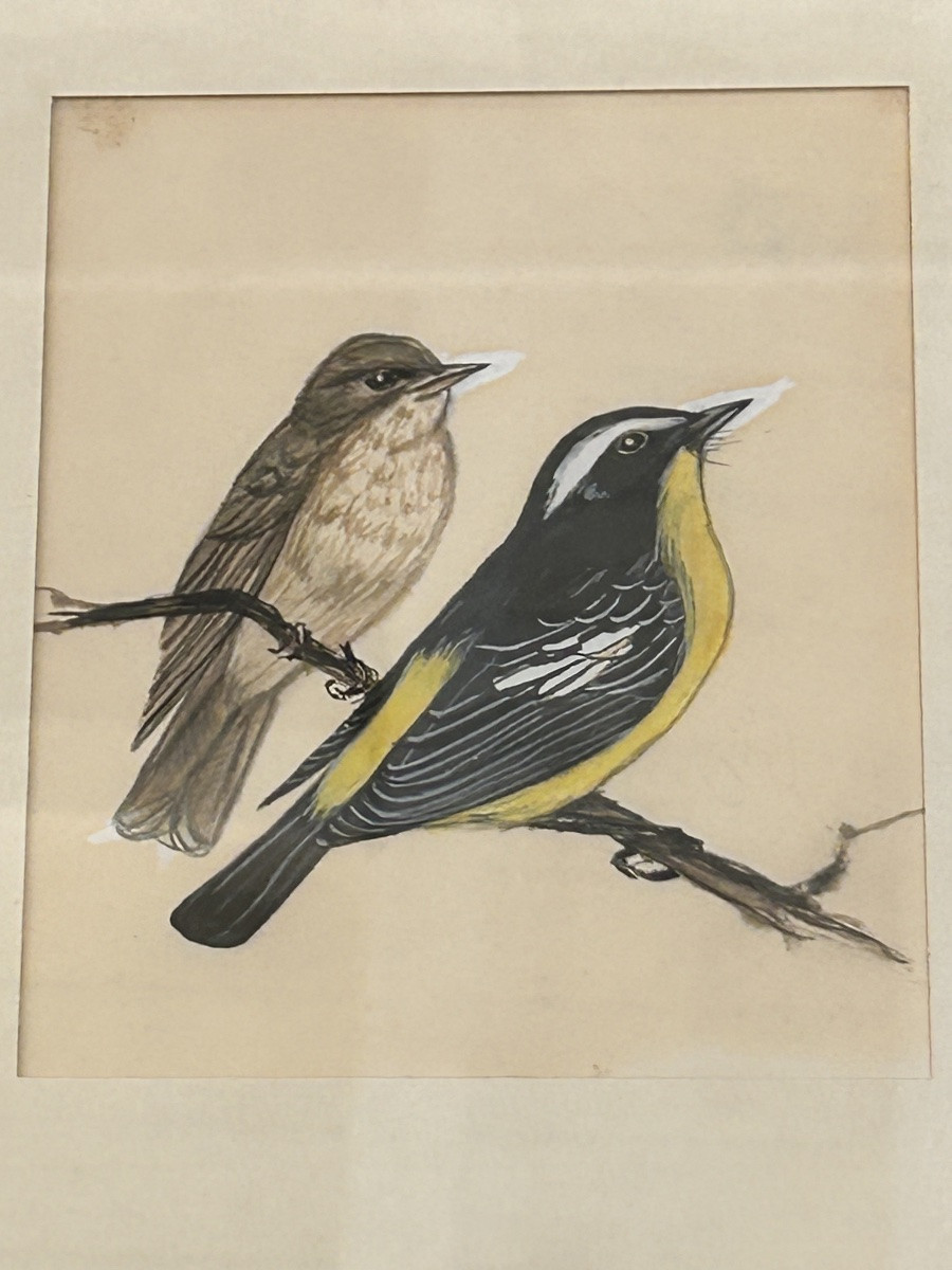 Framed Watercolor And Gouache Series-photo-4