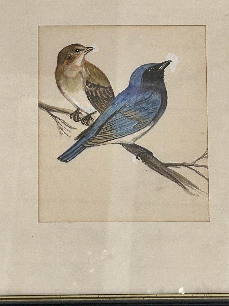 Framed Watercolor And Gouache Series-photo-2