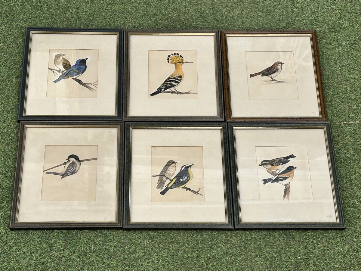 Framed Watercolor And Gouache Series-photo-3