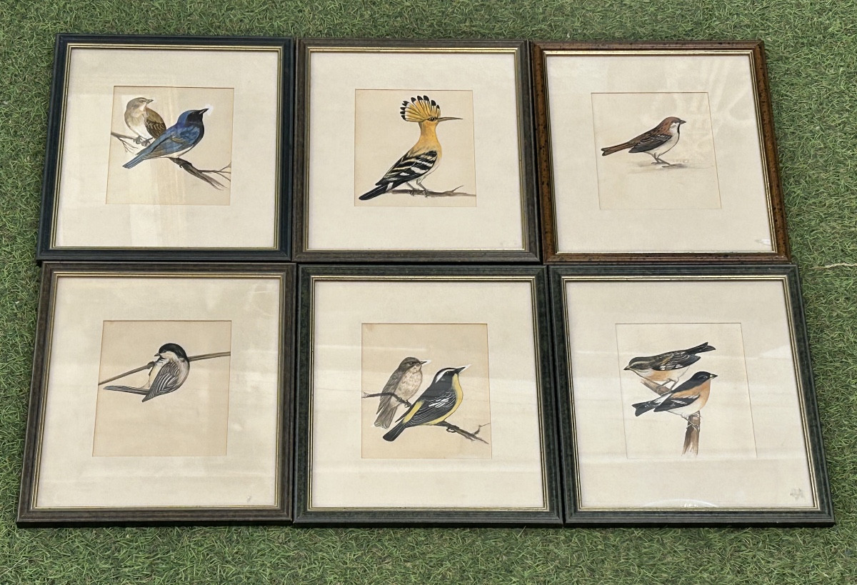 Framed Watercolor And Gouache Series