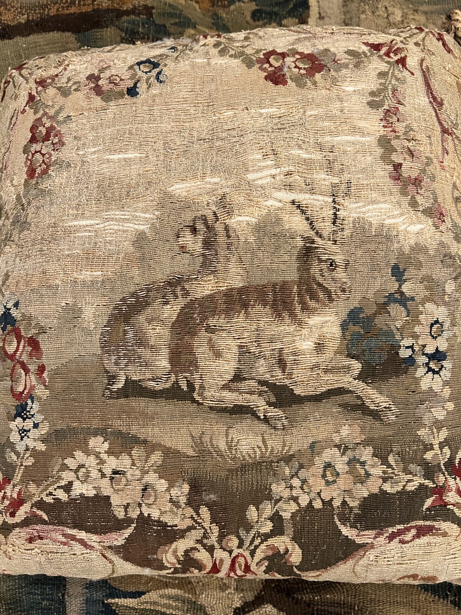 Pair Of Cushions From The Aubusson Workshop, 18th Century -photo-5