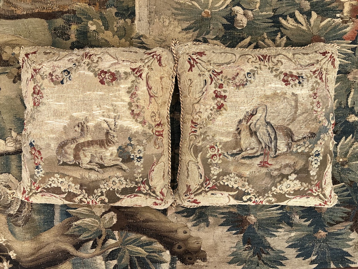 Pair Of Cushions From The Aubusson Workshop, 18th Century -photo-3