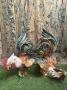 1801135-6a68e4b381a0b.jpg