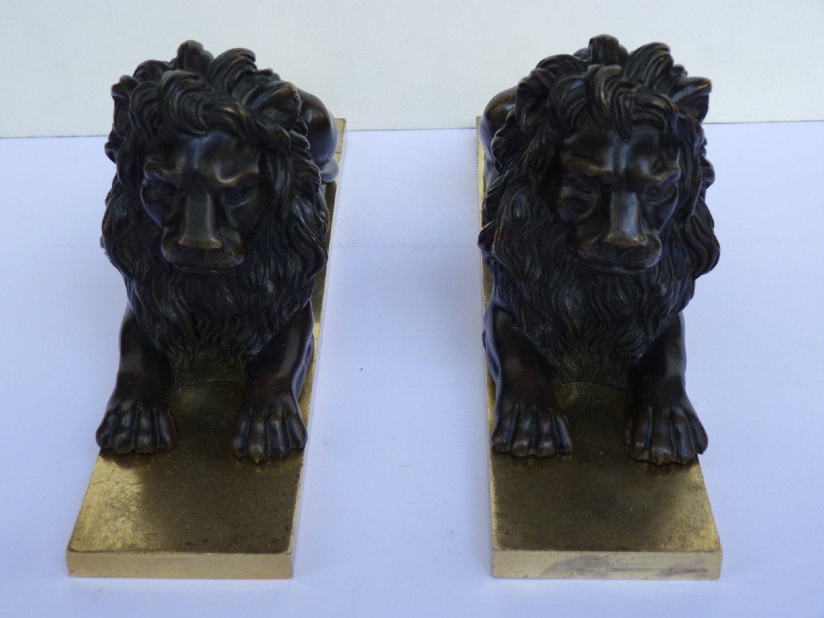 Paire de Lions, Sculptures en Bronze, Epoque Empire-photo-6