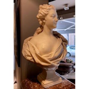 Carrara Marble Statuary Bust