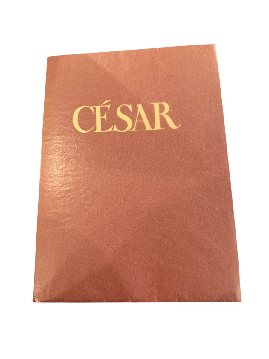  Marius Fanny César Illustrated Modern Hilarious Numbered In Slipcase.-photo-2