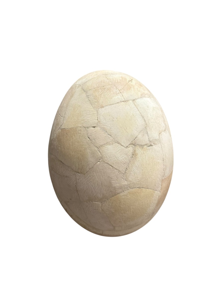 OEUF D'AEPYORNIS -photo-1