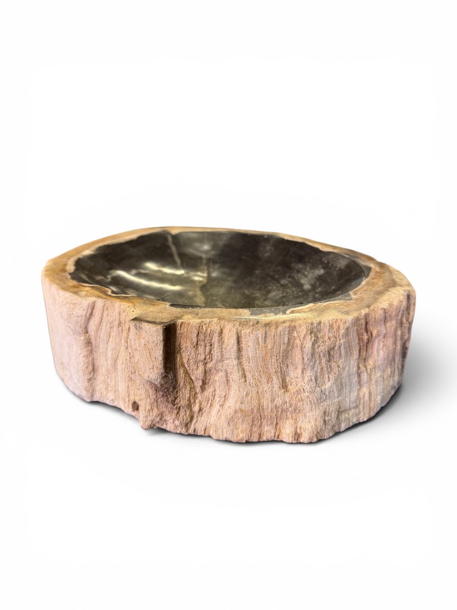 Cendrier en bois pétrifié