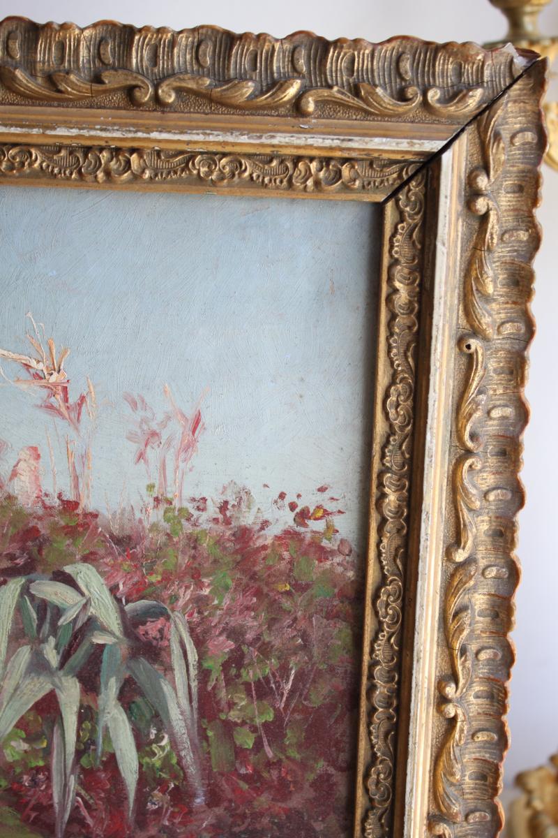 Orientalist Painting By Painter Pujol XIXth Century-photo-2
