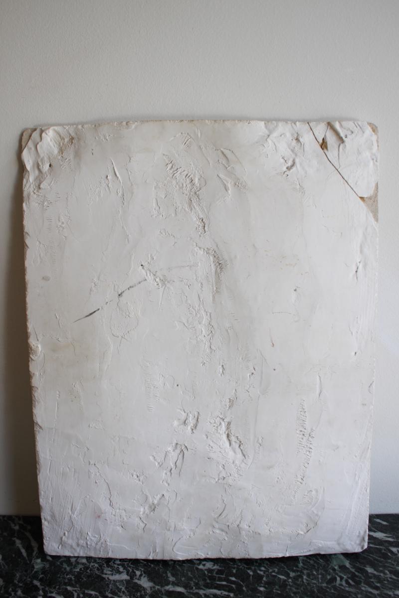 Mioplosus Fish Fossil On Limestone-photo-7