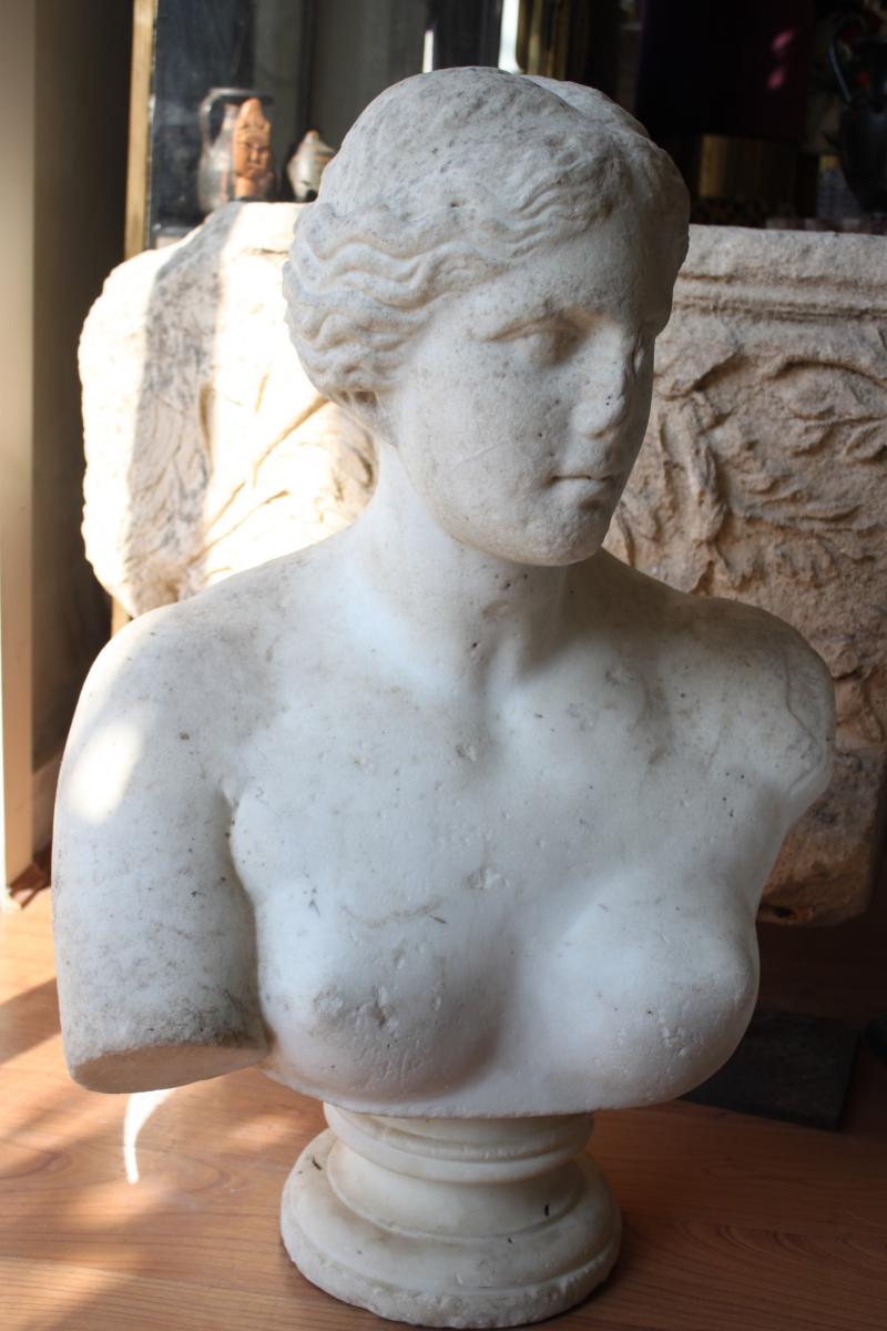 Early 19th Century Marble Bust-photo-3