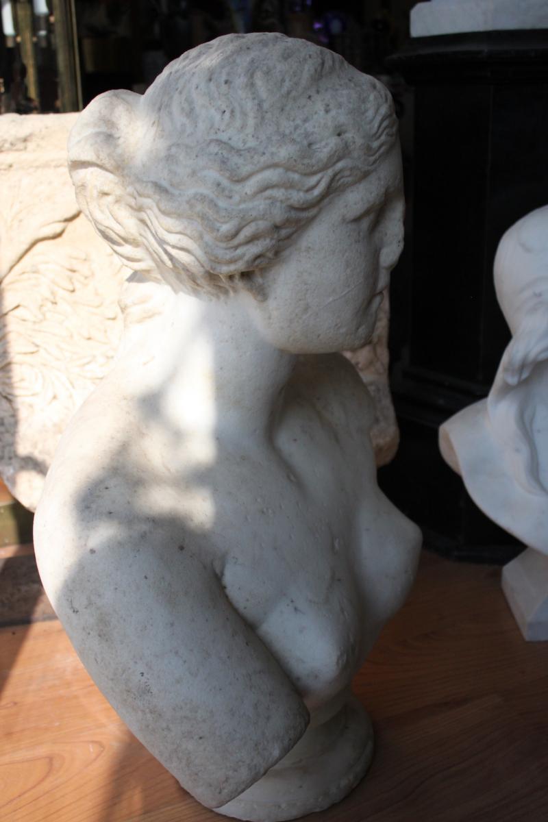 Early 19th Century Marble Bust-photo-5