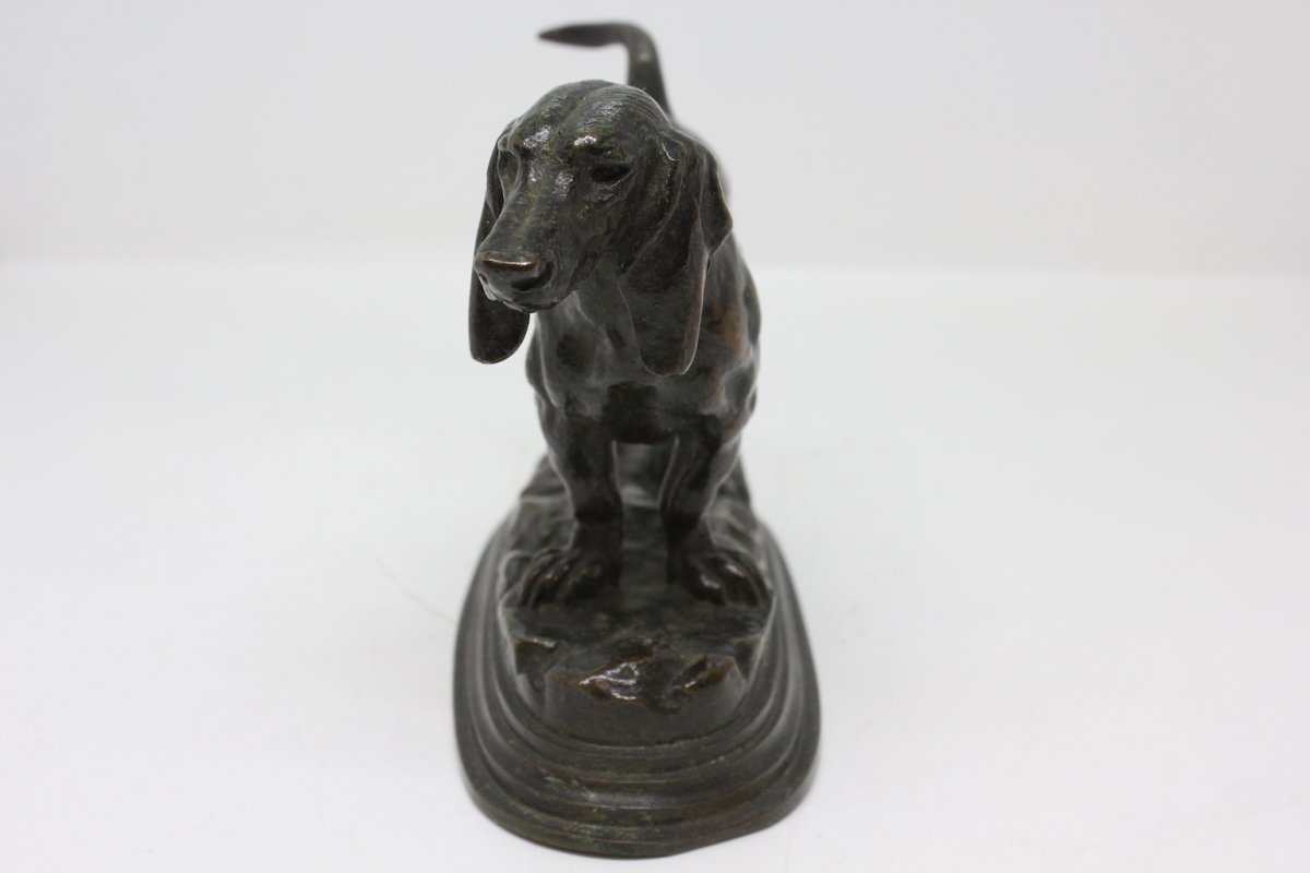 Teckel De Barye  XIXème Siècle-photo-3