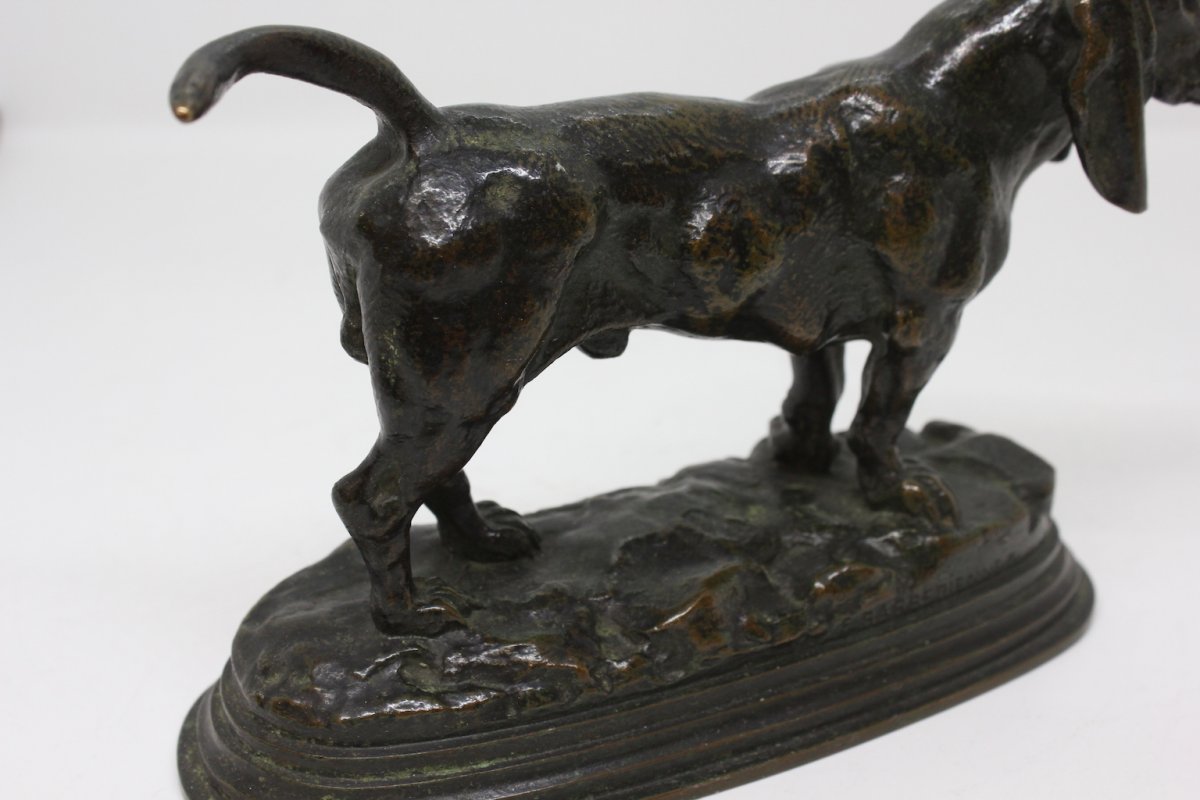 Teckel De Barye  XIXème Siècle-photo-3