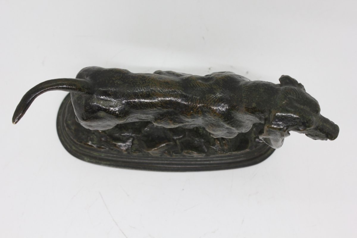 Teckel De Barye  XIXème Siècle-photo-7