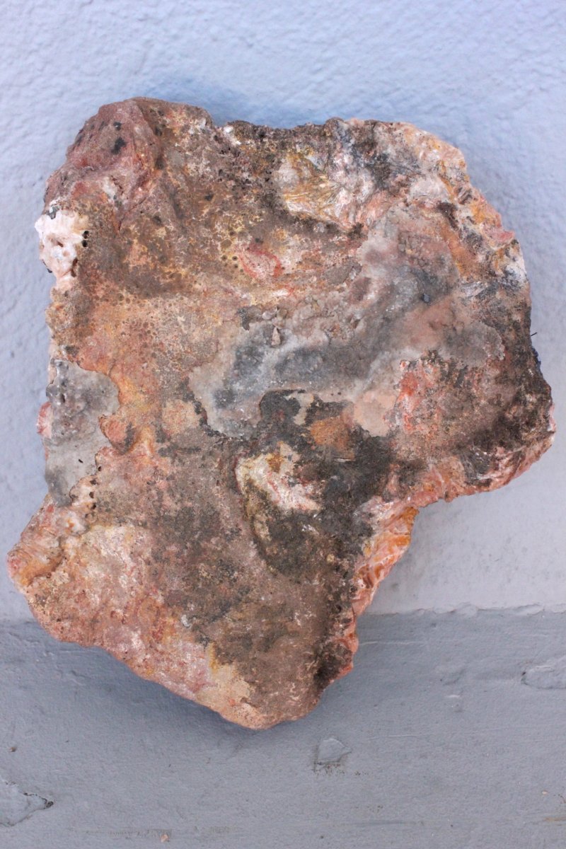 Fossilized Stone-photo-3