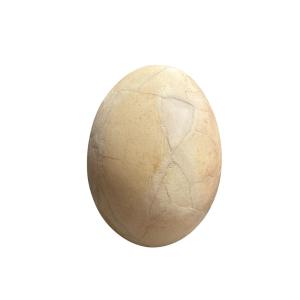OEUF D'AEPYORNIS 