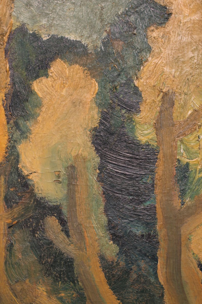 Expressionist Portrait By Dieudonné Damoiseaux - Oil On Cardboard-photo-1