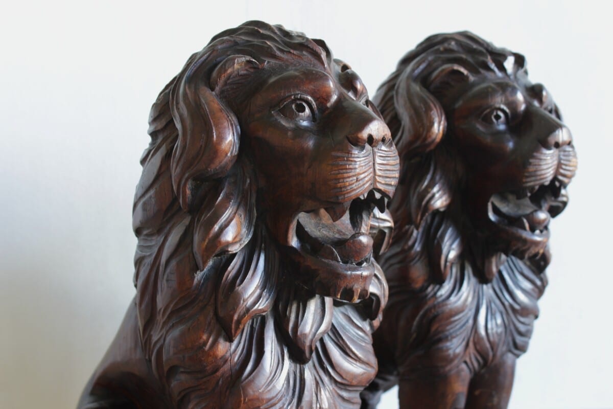 Pair Of Lions-photo-2