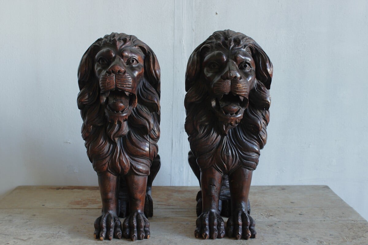 Pair Of Lions-photo-3