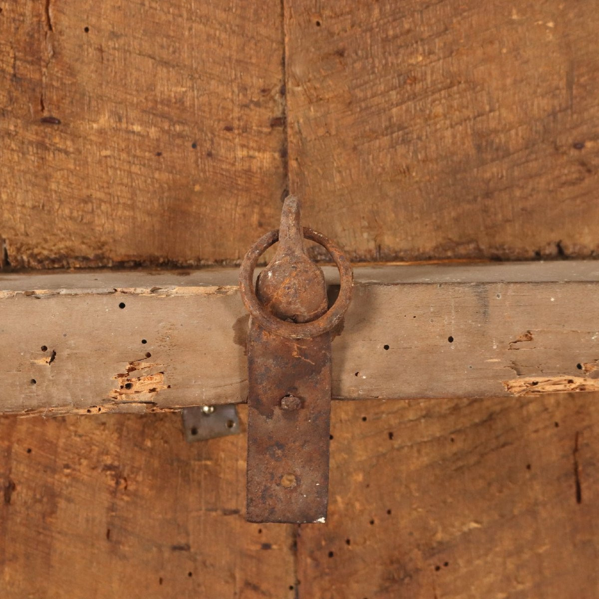 Antique Baroque Coat Of Arms Pasqui Poplar Florence XVIII Century-photo-6