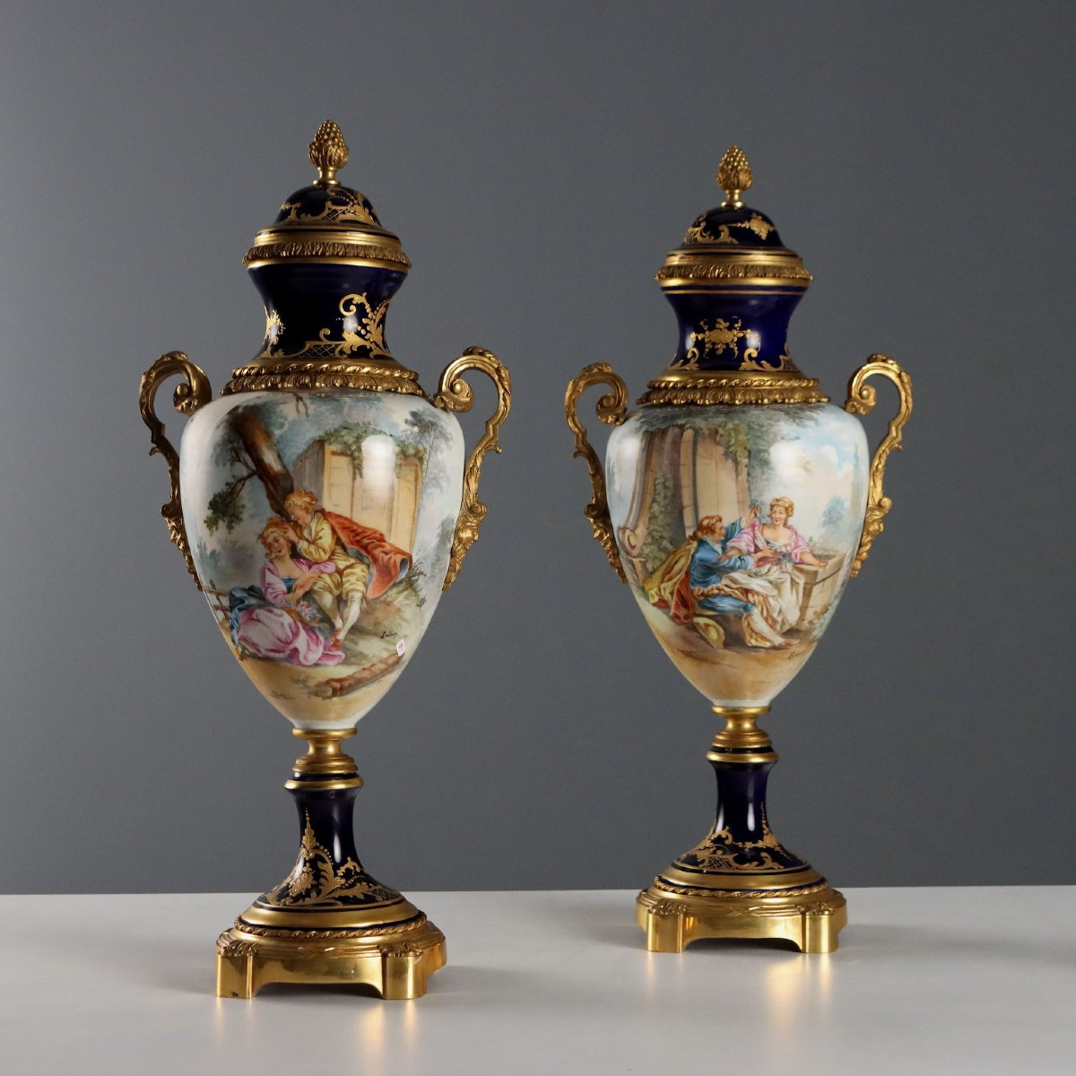 Vases Anciens Porcelaine de Sèvres Décorations du XIXe Siècle