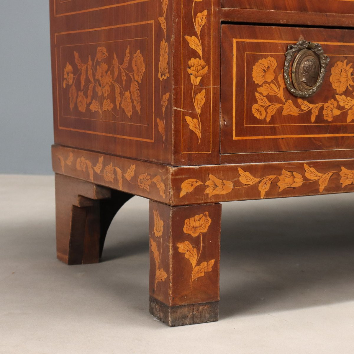 Bibliothèque Ancienne Érable Acajou Pays-Bas XIXe Siècle-photo-6